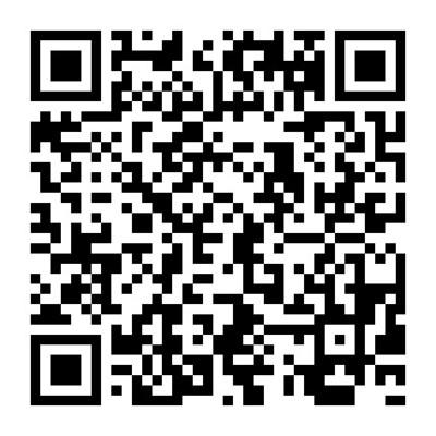 湛江市中級人民法院軟件開發(fā)服務(wù)與成品軟件租賃購買項(xiàng)目解析