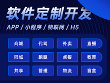 湛江網頁設計與軟件開發 雙輪驅動本地企業數字化轉型